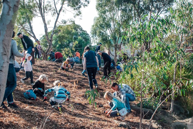 National Tree Day: Merri-bek Community Planting Day