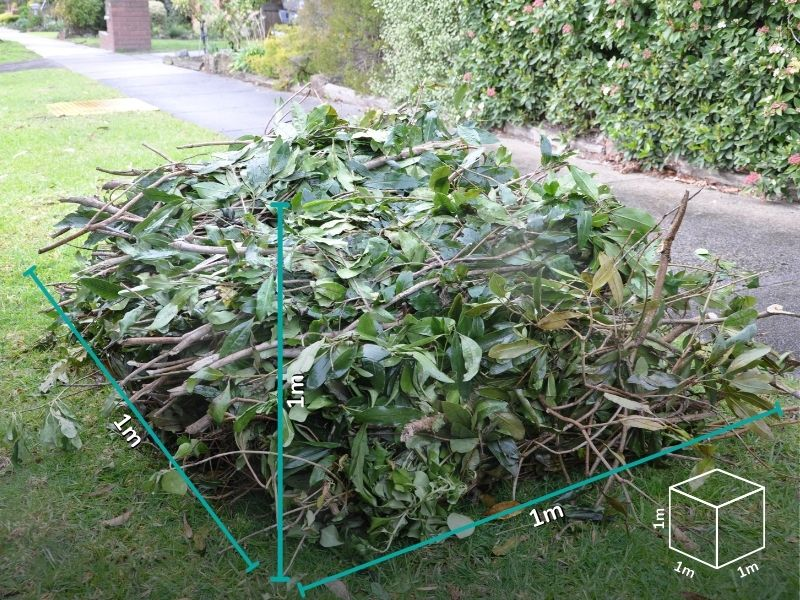 A pile of bundled branches with leaves sit on a nature strip. They take up 1 cubic meter of space which is drawn over the top with 3 axes of 1m in each direction. A pile of bundled branches with leaves sit on a nature strip. They take up 1 cubic meter of space which is drawn over the top with 3 axes of 1m in each direction.